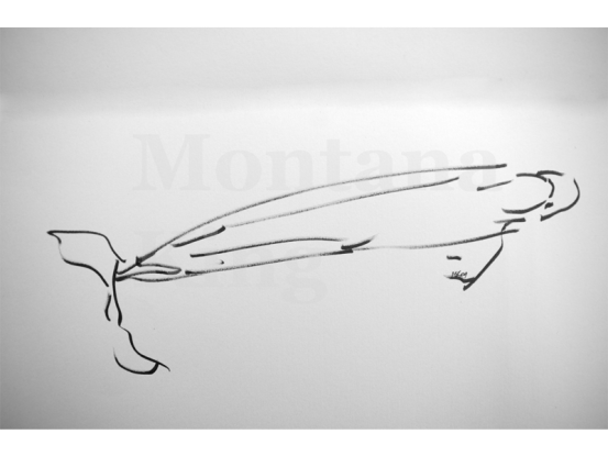 montana-drawing-1