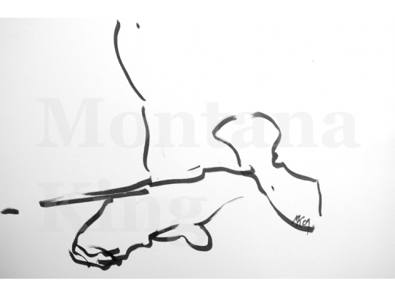 montana-drawing-2